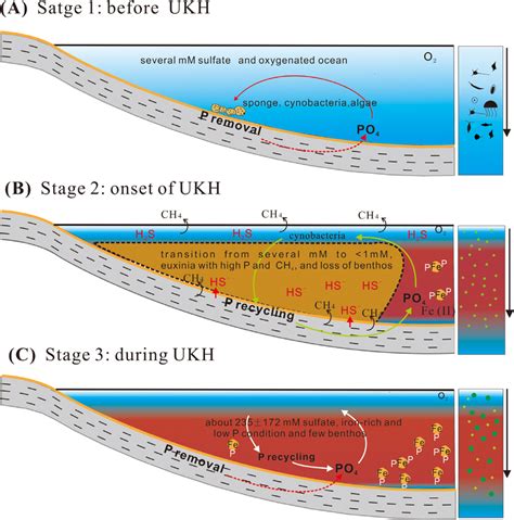 sulphate concentration in water